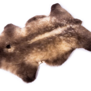 Babylammfell, Relugangerbung